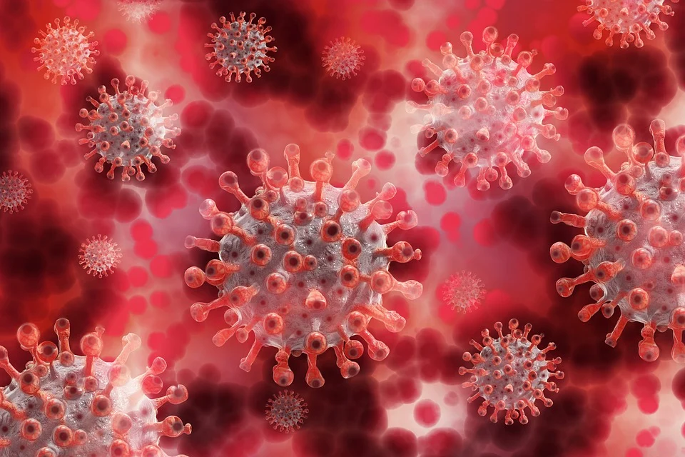 В Севастополе выявили 5 новых случаев заболевания коронавирусом