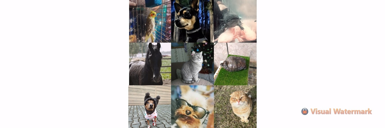 19 апреля в Крыму отмечают Всемирный день владельцев домашних животных