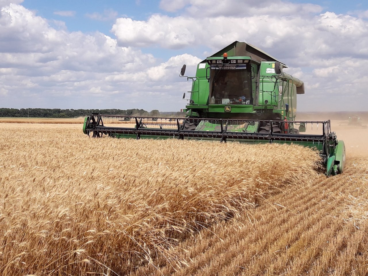 В Белогорском районе Крыма убрали почти 17 гектаров зерновых культур